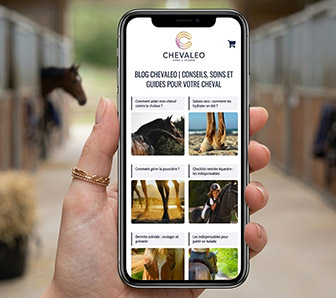 LE BLOG CHEVALEO